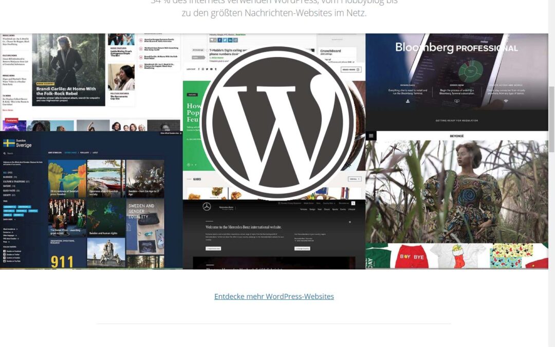 8 gute Gründe für WordPress  – das Nr. 1 Content Managementsystem
